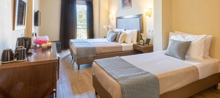 Superior Triple Room