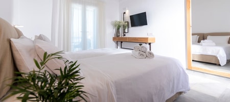 Deluxe Room with Sea view