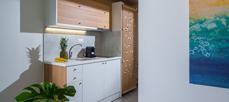 Suite - Semi-Basement