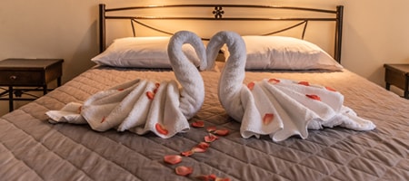 STANDARD DOUBLE ROOM  - 1 DOUBLE BED