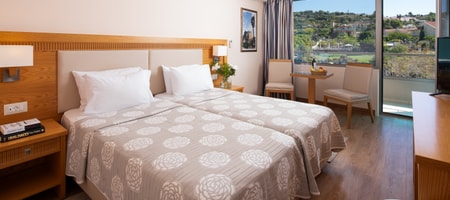 Double/Twin Room with Land View