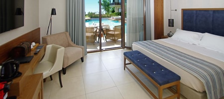 Executive Double Room - Swim Up
