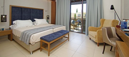 Executive Double Room - Sharing Pool