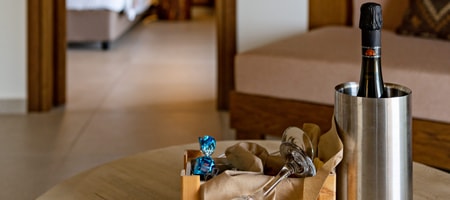 Ambassador Suite