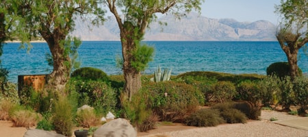 Superior Bungalow Seafront with Private Pool