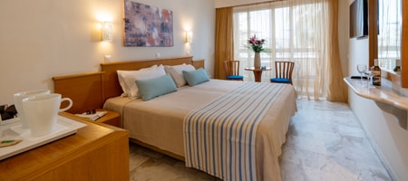 Double / Twin Room