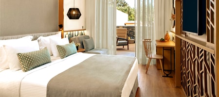 Deluxe Room with Private Pool