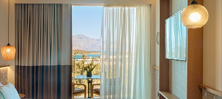 Penthouse Suite with Private Pool