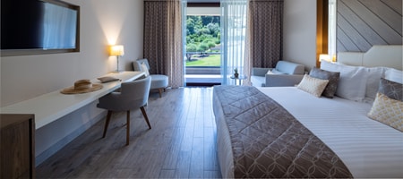Superior Garden View Room