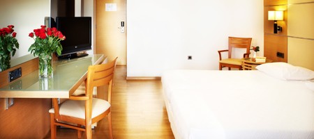 Deluxe Room with Partial Sea View