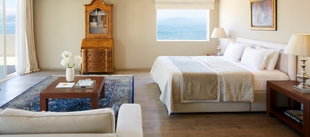 Executive Suite - Panoramic View