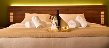 Classic Double/Twin Room with Village or Pool View