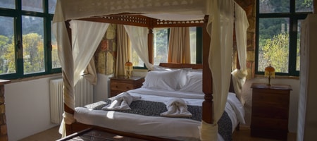 Superior Suite 1