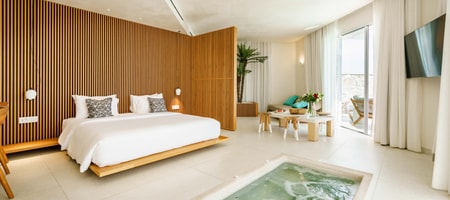 Island Suite with Private Pool Jetted Tub