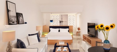 Open Plan Suite Sea View