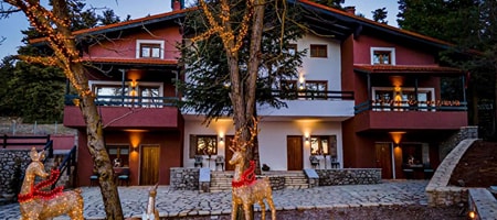 MZ Reindeer