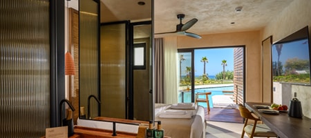 Deluxe Private Pool