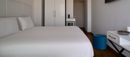 Deluxe Room Urban View