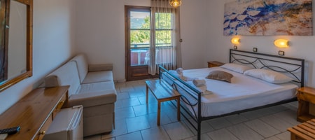 Economy Double / Triple Room