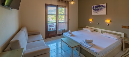Standard Double / Triple Room