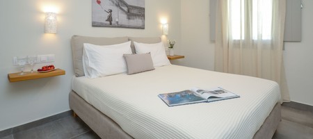 Elegant Double Room
