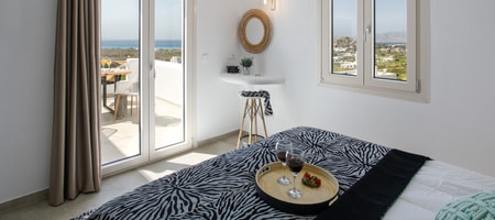 Deluxe Double Suite