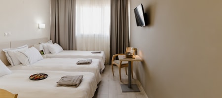 Triple Room (3 single beds)