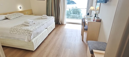 Standard Double Sea View Room