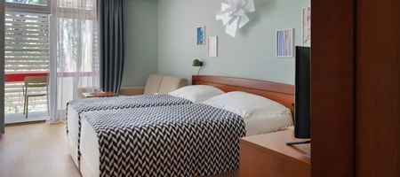 Twin Room + 2 22m² Courtyard/Park View with Balcony