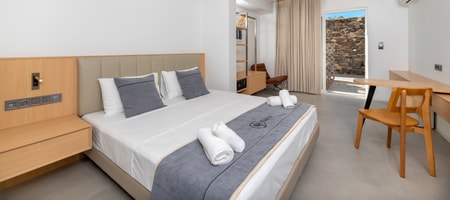 Delouxe Double Room