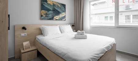 Pantheon 6.6 | Studio 37m² | Pangaiou 4