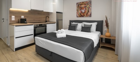 Terra Suites | Deluxe Studio 25m² | Sofokleous 3