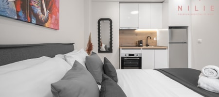 Terra Suites | Standard Studio 23m² | Sofokleous 3