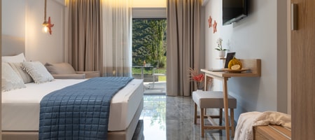 Double / Triple Luxury Room