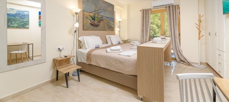 Superior Studio with Balcony and Park View