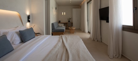 Private Executive Suite with Outdoor jacuzzi