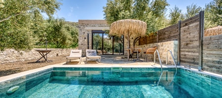 Luxury Suite with Private Pool