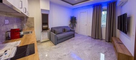Two-Bedroom Apartment 50