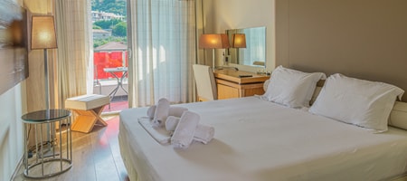 Double Room Mountain View