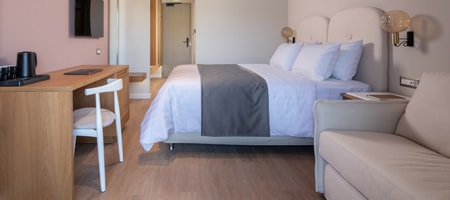 Economy Superior Room