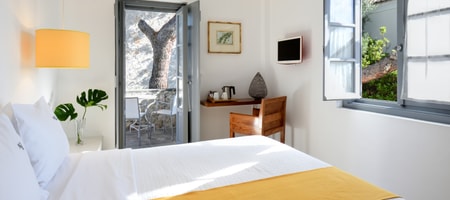 Standard Double/Twin Room