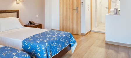 Twin Standard room