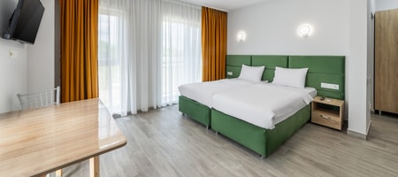 Double/Twin Room