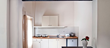 One-Bedroom Apartment (2 adults + 2 children)