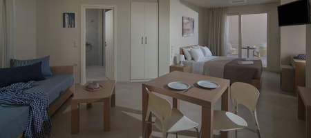 Superior Studio (3 adults)