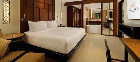 One Bedroom Balcony Suite [95.5 m²]