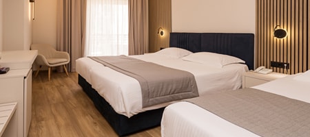 Triple room with Hill view
