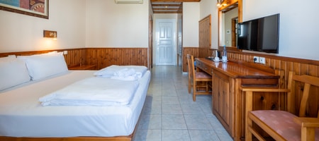 Double/Single Room