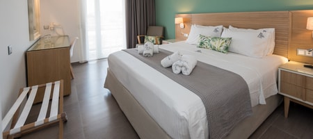 Superior Room with garden view