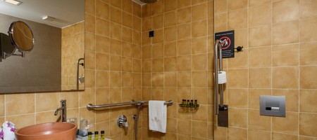 Superior Room Wheelchair Accessible
